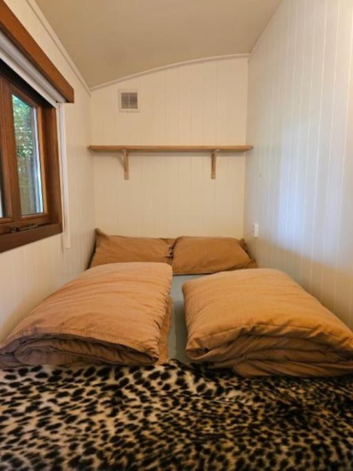 Cosy Appartement Scharendijke